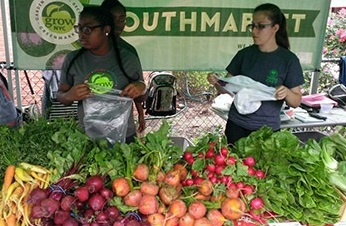 Ditmars-Park-thumbnail