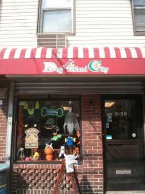 Dog-Island-city-348×465-2