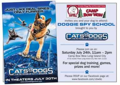 DoggieSpySchool-450×321-1