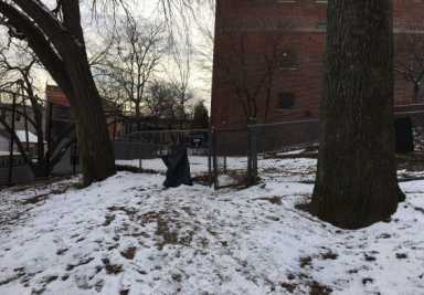 Dogrun-e1483981270576