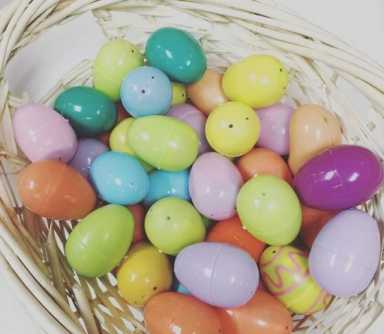 EggsLIC-e1492189755235