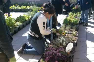 Garden2