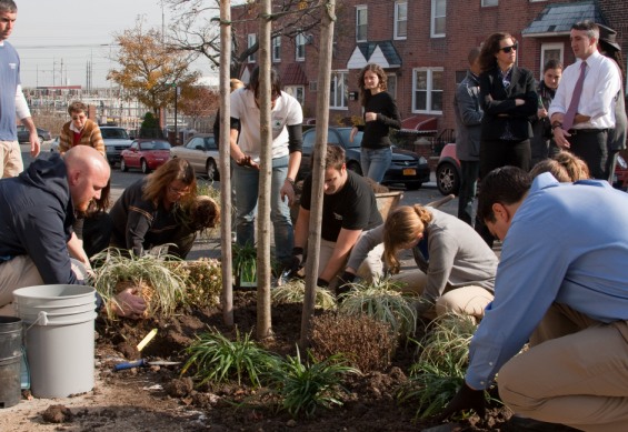 GreeningWesternQueens_11_14_2011-2