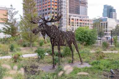 HPS-Sculpture-Garden-8141