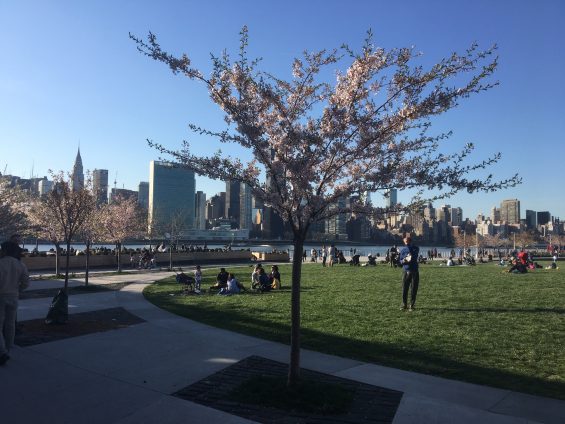 HPoint-e1493663411757