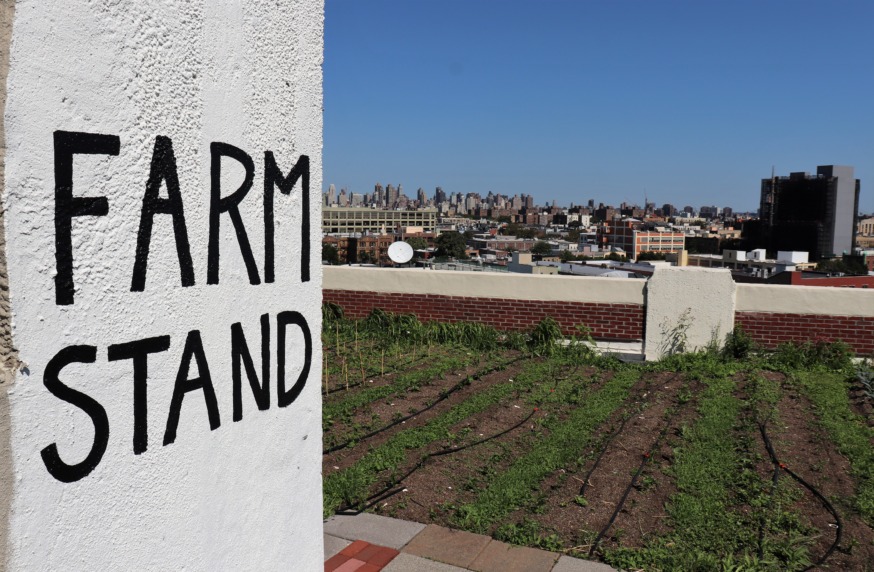 Sky Farm LIC (Photo by Michael Dorgan)