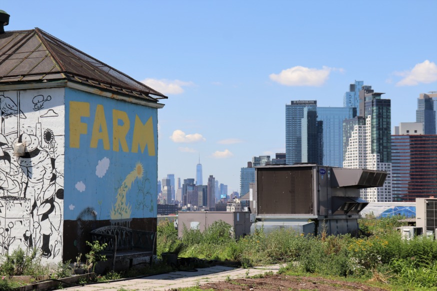 Sky Farm LIC (Photo by Michael Dorgan)