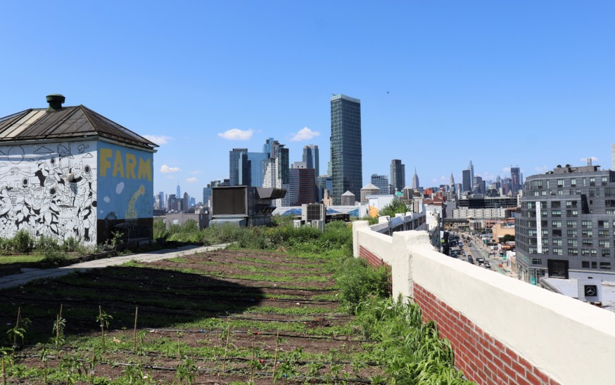 Sky Farm LIC (Photo by Michael Dorgan)