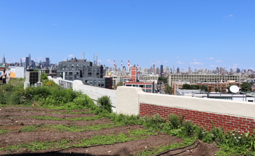 Sky Farm LIC (Photo by Michael Dorgan)