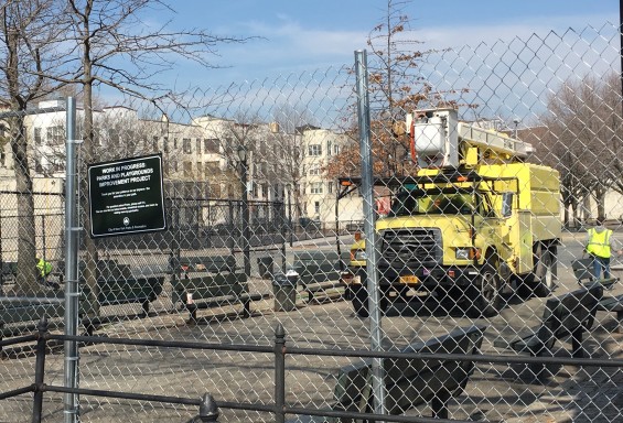 IMG_4345-e1457381751505