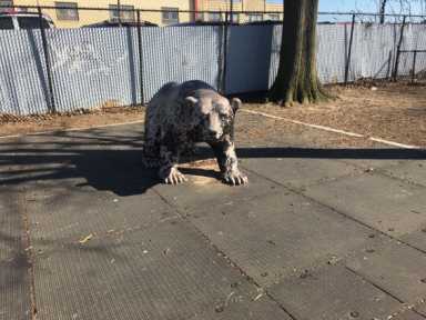 IMG_4664-e1460580265234