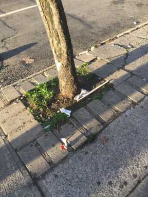 IMG_7846-e1466714252660