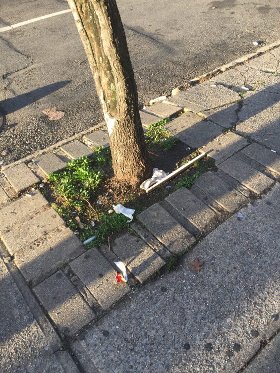 IMG_7846-e1466714252660