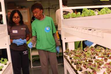 JASA residents joined TFFJ members at the organization's hydroponics farm at Scholar's Academy. The organization has provided 5,000 pounds of fresh produce to Queens seniors. Photo: Scholar's Academy.