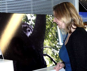 KristinBurns-350×285-1