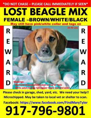 Mary-Tyler-Flier-e1428711507817