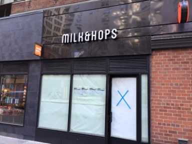 Milkandhops-e1425333066482