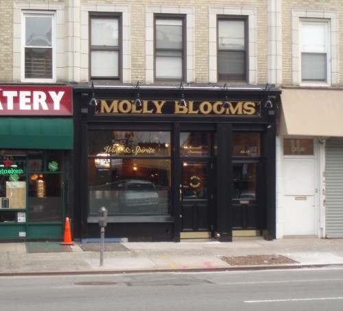 Molly-Blooms-Sunnyside-500x454
