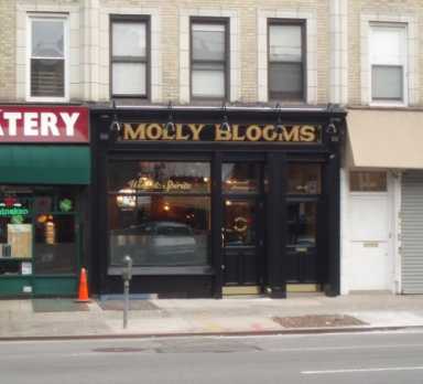 Molly-Blooms-Sunnyside-500×4541-2