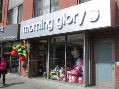 Morningglory-462×3462-1