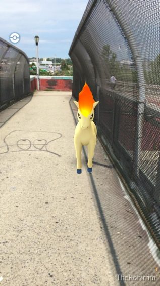 POkemon-e1468440829113