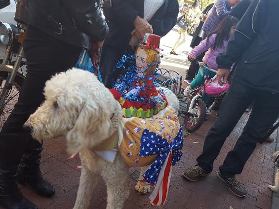 Best in Show