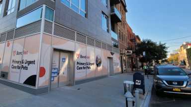 Photo-Michael-Dorgan-Queens-Post-20