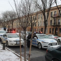 Police-in-Sunnyside-Queens-250×250-1