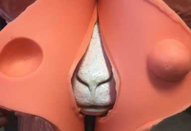 Process_Goat-Mold-cropped-1024×709-e1490898749237