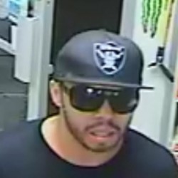 ROBBERY-PATTERN-2-1-250×250-1