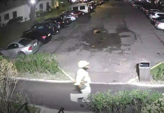 Ravenswood-e1504635370474