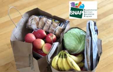 SNap-Family-NYC-HRA2-700×448-1