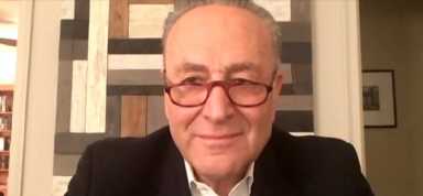 Schumer-May-2020-Zoom1