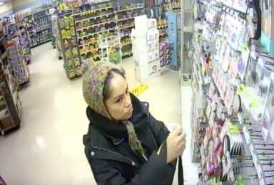 Screen-Shot-2019-03-27-at-3.29.48-PM