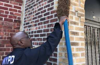 Screen-Shot-2019-05-28-at-10.25.23-AM