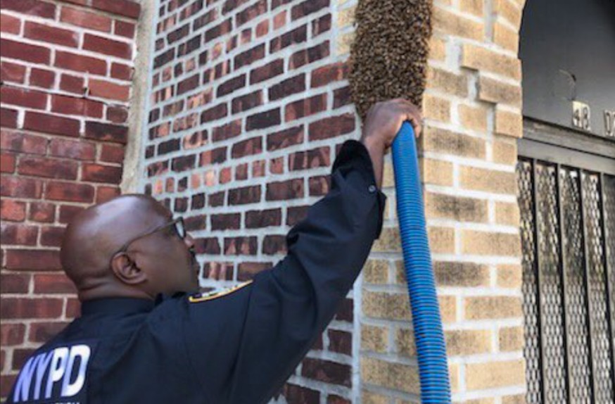 Screen-Shot-2019-05-28-at-10.25.23-AM