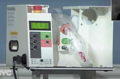 Screen-Shot-2020-04-21-at-10.48.33-AM