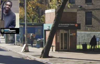 Screen-Shot-2021-08-12-at-1.16.12-PM