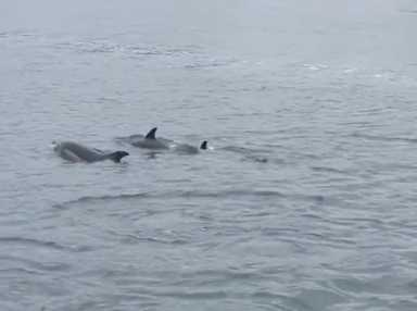 Screen-Shot-2021-12-21-at-12.55.54-PM