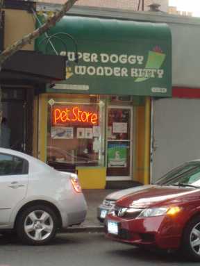 Sept-21-2009-0162-e1484863972747