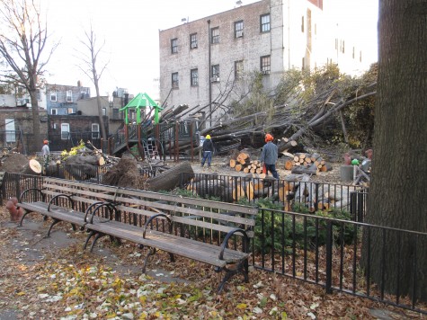 Shady-Park-475×356-1