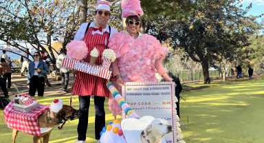 Sugar-Rush_Halloween-Harvest-2024-e1758225105751-1536×837