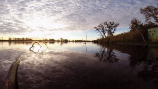 Sunnyside Article - Saving Jamaica Bay 01