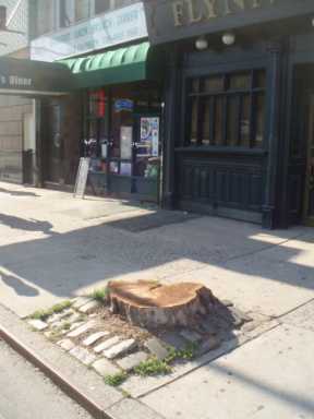 Sunnyside-Tree-008-375×500-1