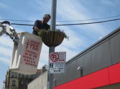 Sunnyside-beautification-450×337-1