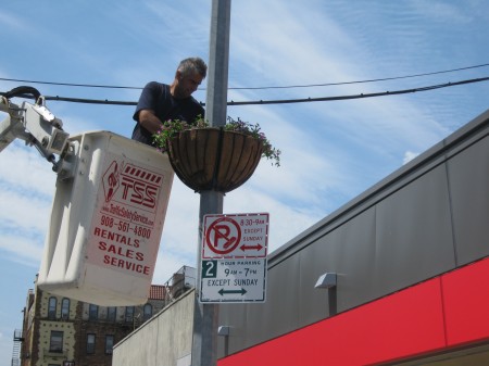 Sunnyside-beautification-450×337-1