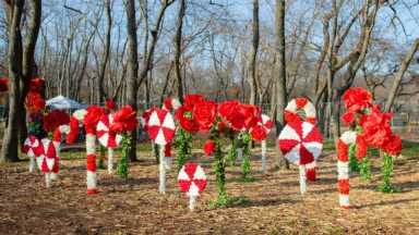 The-Candy-Cane-Rose-Garden-at-the-Winter-Escape-Provided-by-The-Floral-Escape