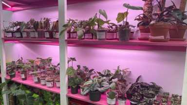 WhatsApp-Image-2021-04-01-at-4.14.26-PM