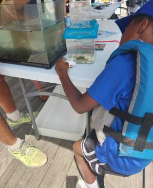 Young-boy-examining-a-crab-from-Newtown-Creek-before-boating