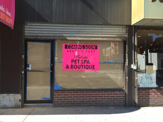 angels-care-pet-spa-e1440697985509